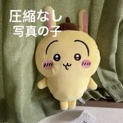 ちいかわ×サンリオキャラクターズ BIG ぬいぐるみ うさぎ ポムポム