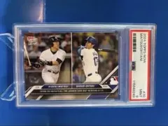 Item thumbnail for item d0a2ce5c-f654-4fd8-90ed-bcdc297a31c1