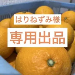 はりねずみ様　専用