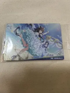 ウマ娘　ウエハース　カード　ヴィブロス