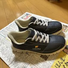 Item thumbnail for item 56fd047d-c0c0-43c6-a3ae-1b894a4bef2a