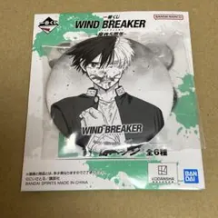 2026年最新】WIND BREAKER 桜遥 缶バッジの人気アイテム - メルカリ