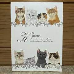 (新品未使用)エヌビー社　A5便箋　キトゥンズ