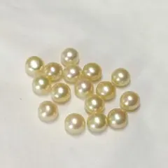 Item thumbnail for item 9e900465-f020-4fcb-a1ad-a78657d0c488