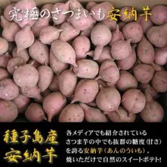A品 農薬栽培期間中不使用 種子島産安納芋SSサイズ10キロ ワケアリじゃない