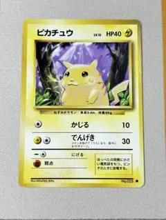 ポケカ ピカチュウ イントロパック 13 フシキダネマーク かじる でんげき ポケカ ピカチュウ イントロパック 13 フシキダネマーク かじる でん