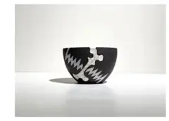 invisible ink ” BONMEX ” グラキリス パキプスのサムネイル