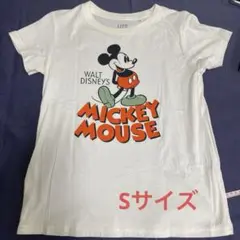 Item thumbnail for item 2d0c0fc9-f824-4acf-be78-a7265ae921d5