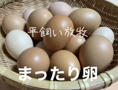 平飼い放牧　まったり卵　20個のサムネイル