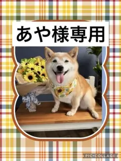 あや様専用　フラットバッグ　ファブリックトレイ　パネル生地