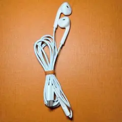 Apple純正タイプC、EarPods（USB-C）有線イヤホン iphone用