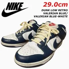 29cm！ NIKE DUNK LOW レトロ DD1391-400 ダンク