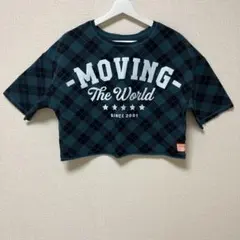 【正規品】ZUMBA チェック柄 クロップドTシャツ