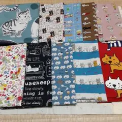こばやし猫生地　縦50cm横25cm 10枚セット　柄変更不可
