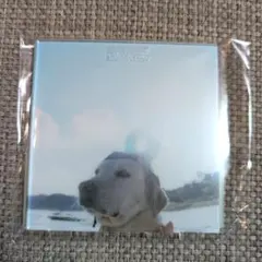 Item thumbnail for item 3d35689d-72d8-4c0c-a142-f0e12f2e4522