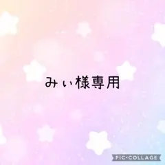 みぃ様専用