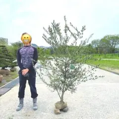 ラムネ様専用
