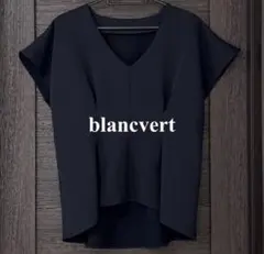 blancvert ブランベール Vネック ネイビー ブラウス トップス - メルカリ