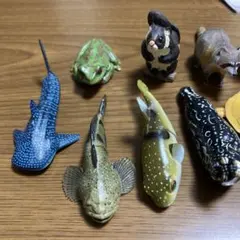 Item thumbnail for item 53a644ee-fc65-4b63-9f5b-c89aa2f75890