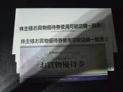 YAMADA HLDGS. お買物優待券 10枚セット