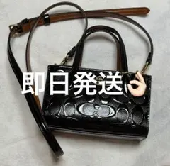 coach アンドレア ミニ キャリーオール・シグネチャー キャンバス 