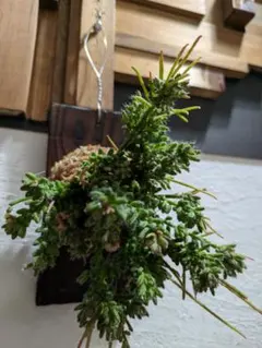 SORA♡今は購入専門です❤︎様 リクエスト 3点 まとめ商品