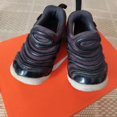 NIKE ナイキ ダイナモフリー