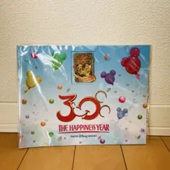 ディズニーリゾート 30周年 リゾートライン ピンバッヂ