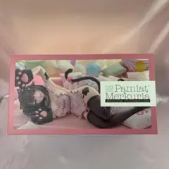 パーミャチ・メルクーリヤ 水星からスキをチョコにこめて 1/3.5