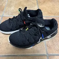 NIKE ナイキ LEBRON XVII LOW 26.5センチ