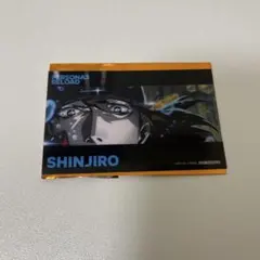 Item thumbnail for item c3f5cb1e-0b20-4b64-a677-82ca8c16767c