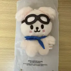 Stray Kids スキズ パイロット 10cmぬいぐるみ　パピーム　スンミン