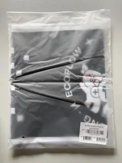 Item thumbnail for item 11ef9347-9160-4d8e-8de6-b163ebd5cf87