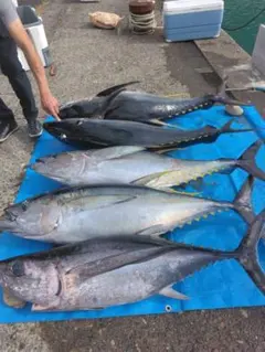 【メロン屋工房】Fanatic Casting 84H 【PE5~10】 メロン屋工房】Fanatic Casting 84H 【PE5~10】 ロッド