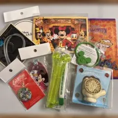 東京ディズニーリゾート　グッズセット