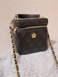 値下げ♡リリーブラウン♡デイジーミニバニティ