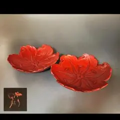 2026年最新】古盆の人気アイテム - メルカリ