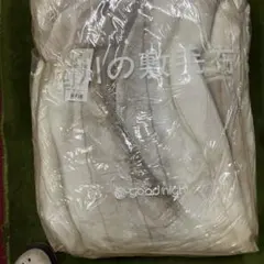 Item thumbnail for item cfa37b2e-7845-4a9b-8644-4adfa1fae805