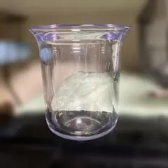 Item thumbnail for item 2779d10c-6fa8-46ba-93c2-f06ef06900db