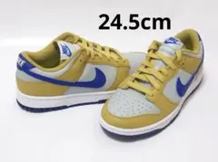 24.5cm 黄青 ナイキ ダンク ロー ネクスト ネイチャー