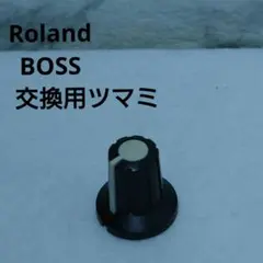 Item thumbnail for item c1f9bb2a-e5f4-40b0-a503-079c7572276f