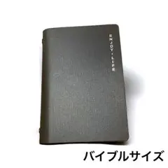 Item thumbnail for item 43d82e74-0afb-47e6-bf2e-ee9e019768e6