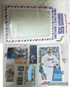 Item thumbnail for item 35d50749-e4e8-476d-8d5f-9d3679e1049e