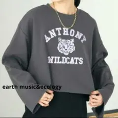 クロップドスウェット プルオーバー トレーナー トップス グレー