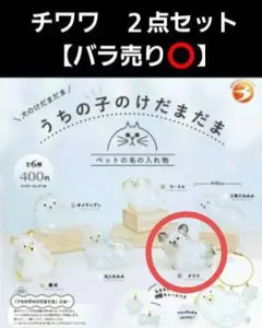うちの子のけだまだま　犬のけだまだま　チワワ　２点セット