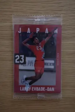 バレーボール男子日本代表ツインウエハースウエハース2025 エバデダンラリー選手