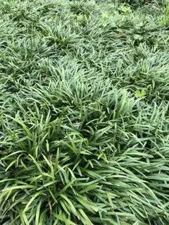 青木妙子様 リクエスト 2点 まとめ商品