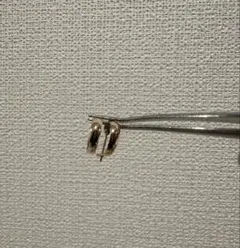 K10 YG 華奢甲丸ピアス　遮断式