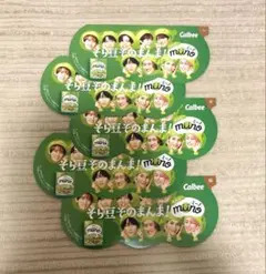 【美品】SnowMan カルビーCalbee ミーノ フライヤー 非売品 5枚