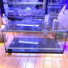 2026年最新】アクリル水槽の人気アイテム - メルカリ